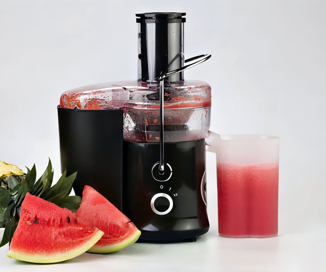 Self Cleaning Juicer a 304 LEU