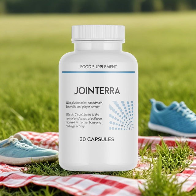 Jointerra