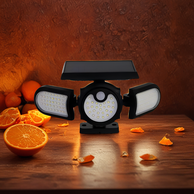 SOLAR INDUCTION LAMP