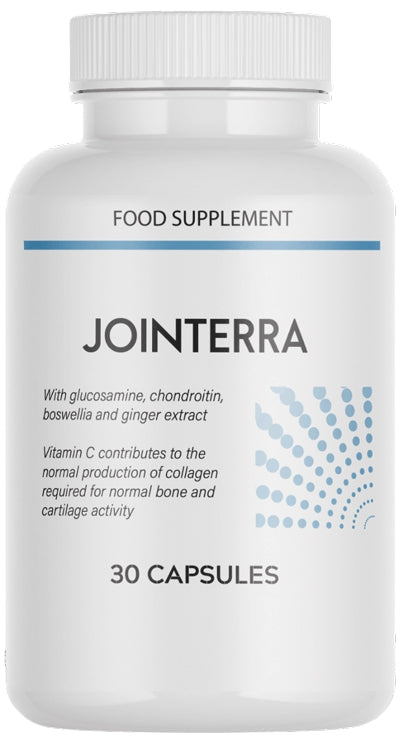 Jointerra Low Price