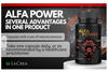 Alfa Power