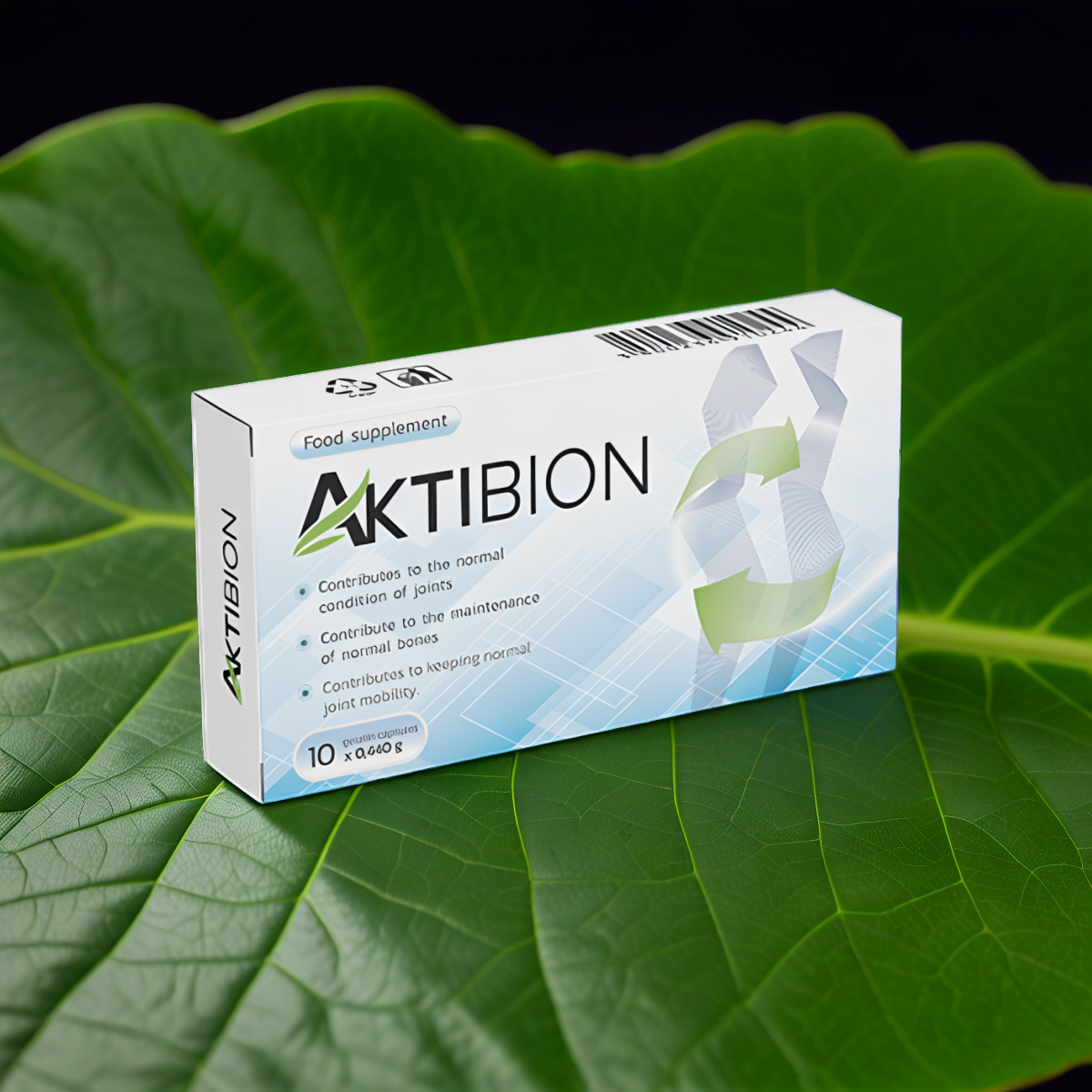 Aktibion