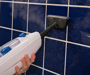 Steam mop a 447 LEU