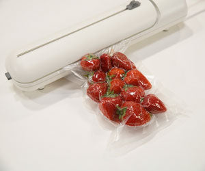 Vacuum Sealer a 254 LEU
