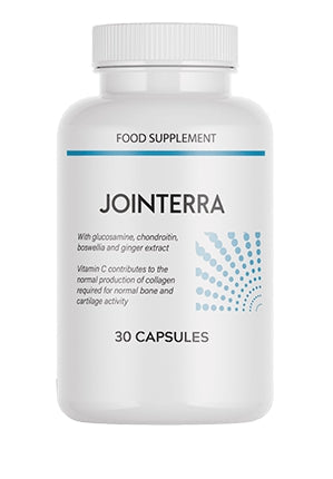 Jointerra low price