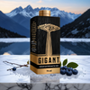 GIGANT