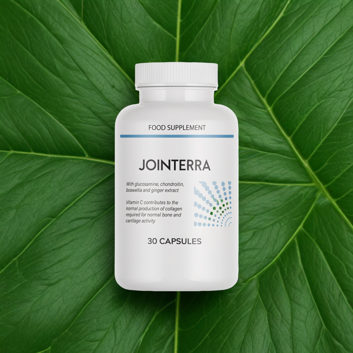 Jointerra