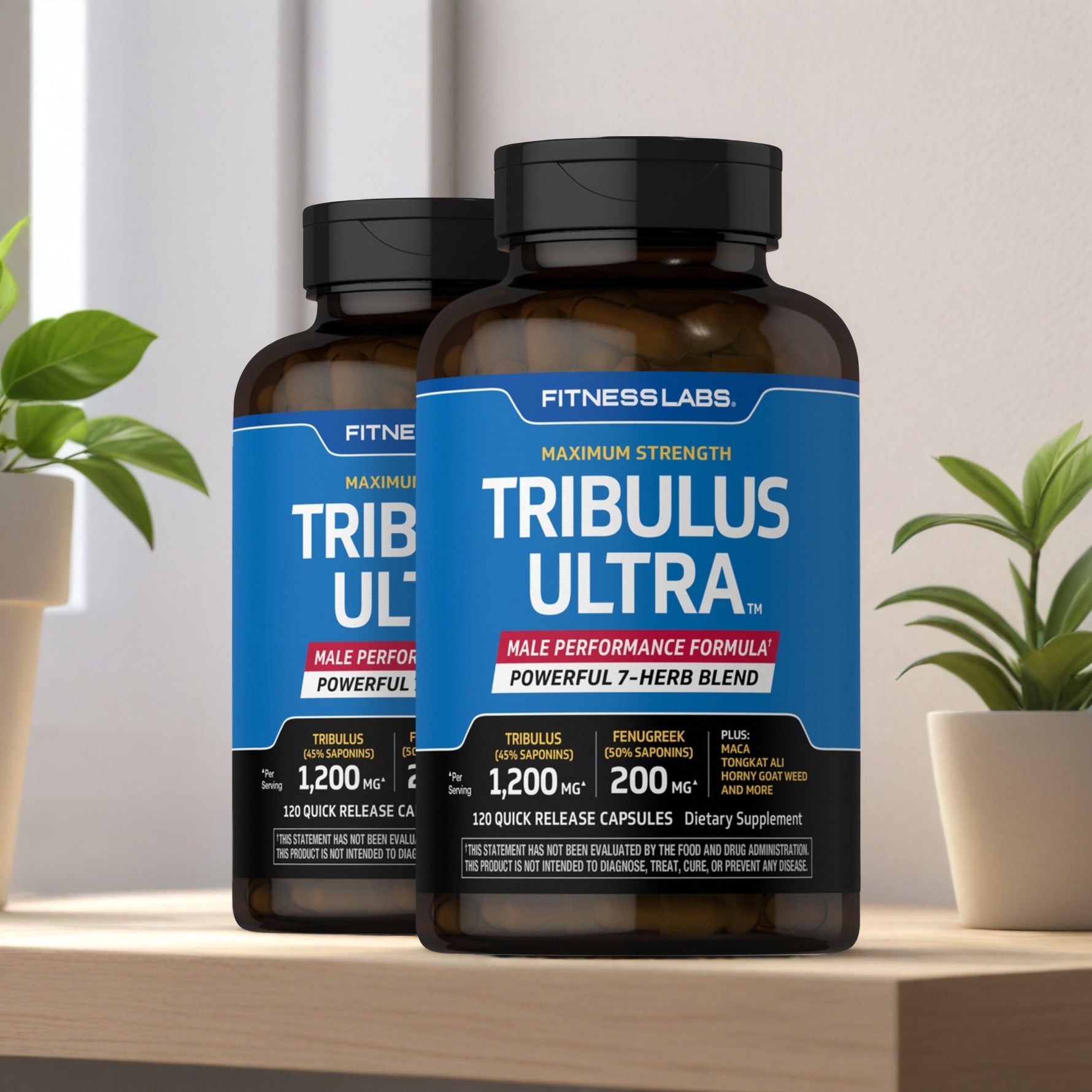 TRIBULUS