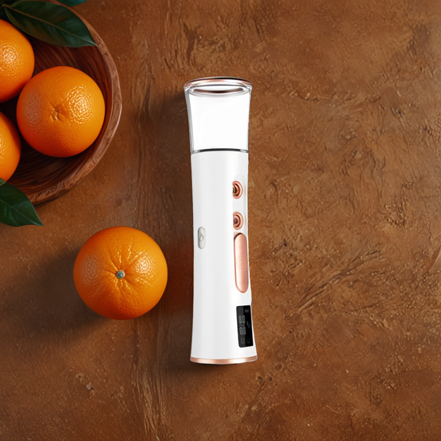 RAIREX NANO MIST SPRAYER