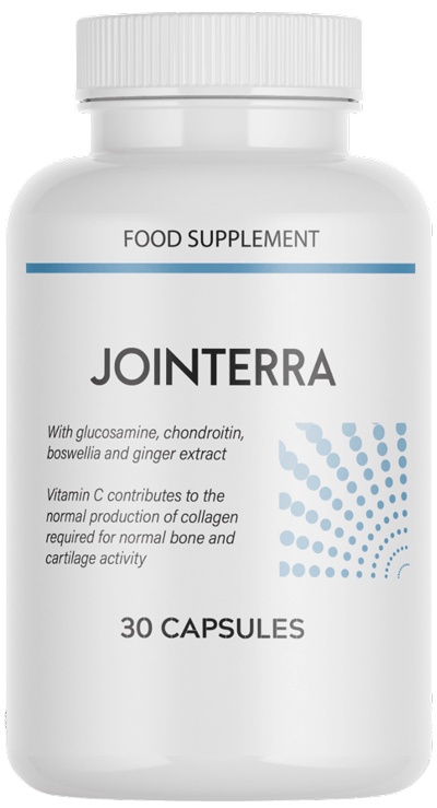 Jointerra