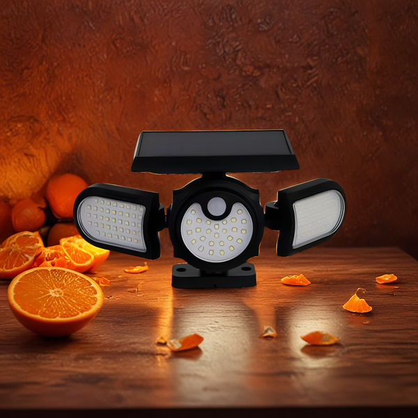 SOLAR INDUCTION LAMP