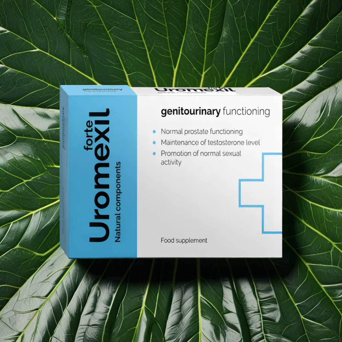 Uromexil Forte female urination